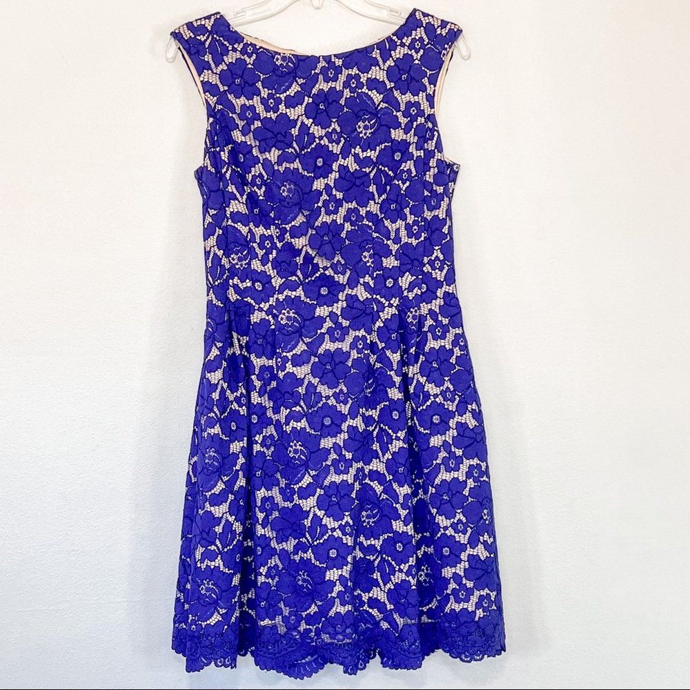 Vince Camuto lace special occasion dress